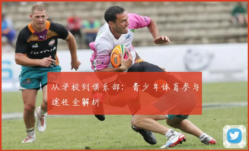 从学校到俱乐部：青少年体育参与途径全解析