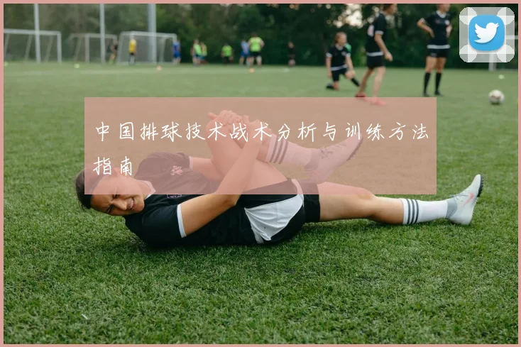 中国排球技术战术分析与训练方法指南