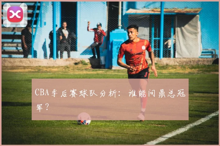 CBA季后赛球队分析：谁能问鼎总冠军？