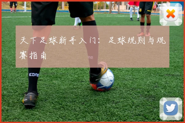 天下足球新手入门：足球规则与观赛指南