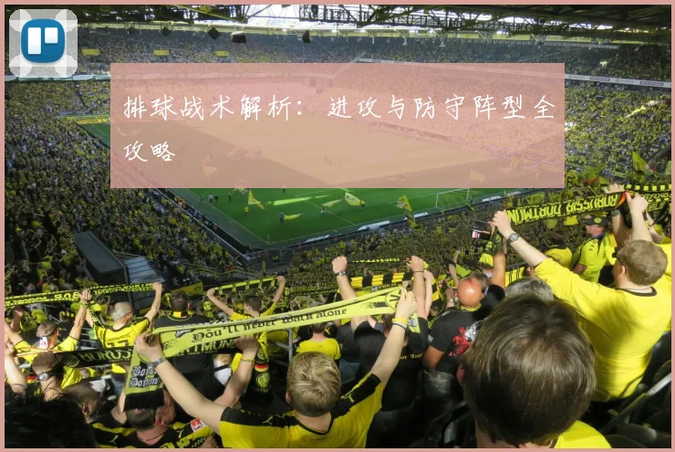 排球战术解析：进攻与防守阵型全攻略