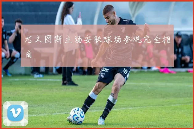 尤文图斯主场安联球场参观完全指南